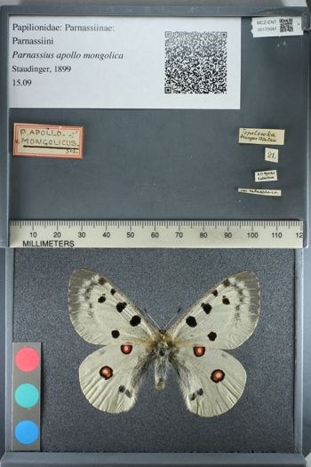 Media type: image;   Entomology 175097